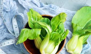 青菜寄快递如何保鲜 青菜寄快递该怎么保鲜