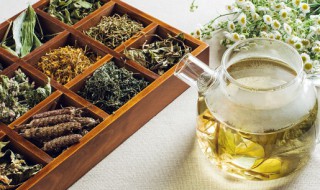 胖子喝什么茶减肥最好 胖子减肥喝哪些茶