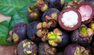 怎么挑新鲜的山竹 如何挑选新鲜的山竹呢