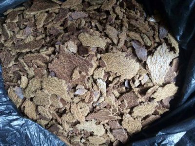 菜籽饼打窝钓什么鱼 用菜籽饼打窝之后多久才能有鱼