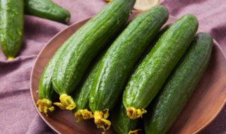 黄瓜怎么存放时间长 黄瓜如何存放时间长