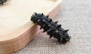 孕妇吃海参怎么做最好 孕妇吃的海参怎么做最好吃