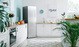 保鲜室不制冷怎么回事 保鲜室不制冷的原因分析