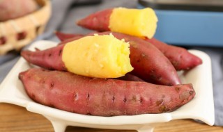 新鲜地瓜怎么吃好吃又简单 新鲜地瓜的做法