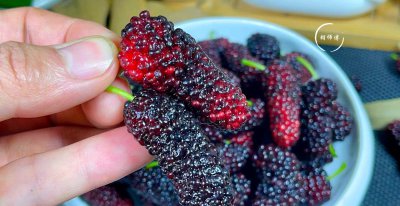 清洗桑葚的正确方法 清洗桑葚时的注意事项有哪些