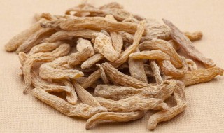 天麻配什么药材炖汤好 天麻配哪些药材炖汤营养好喝