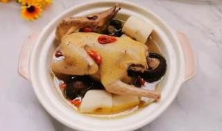 常吃鸽子有什么好处 常吃鸽子有哪些好处