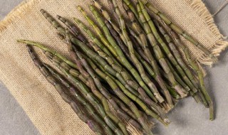 如何保存新鲜的石斛 保存新鲜的石斛有什么小妙招