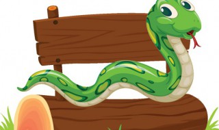 翠青蛇怎么养 翠青蛇的养法