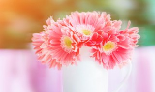 鲜花如何保存时间长 鲜花保鲜的方法和技巧