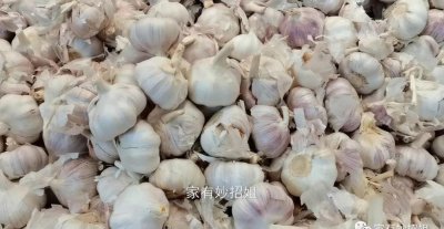 大蒜可以放冰箱保存吗 大蒜用这个方法保存不发芽还新鲜