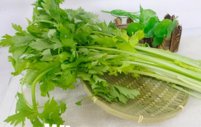 吃芹菜为什么要把叶子摘掉 家里吃芹菜需要叶子摘掉做吗