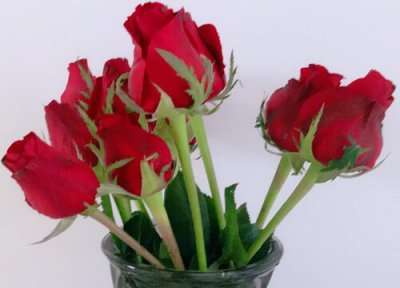 鲜花保存方法 鲜花的保存方法