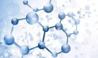 氨基酸有什么功效 氨基酸有哪些功效