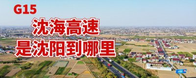 沈海高速指的是哪儿到哪儿 沈海高速是从沈阳到海口
