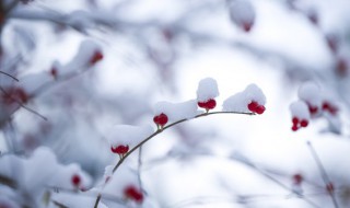 什么节气最冷 最冷的节气