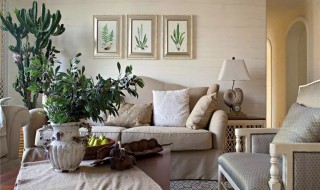 风水客厅花草摆放禁忌 客厅花草摆放有什么讲究