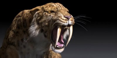 最后一只剑齿虎在哪里 剑齿虎和现代虎有哪些不同