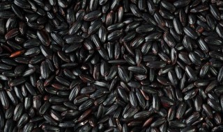 黑米有什么功效 黑米的功效与作用