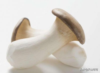 杏鲍菇要不要焯水 烹饪杏鲍菇时需不需要焯一下水