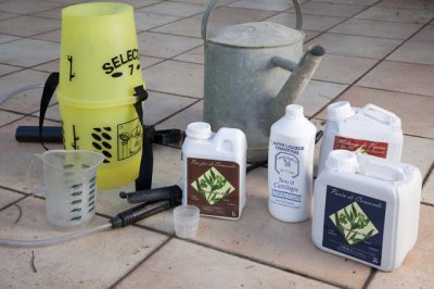 多肉叶片喷药弄脏了怎么清洗 多肉喷完药有痕迹怎么清理