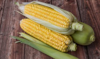 吃鲜玉米的好处和坏处 吃鲜玉米对人有啥好处和坏处