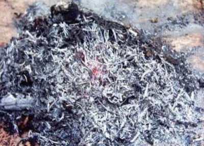 草木灰是常见的钾肥吗 草木灰用于植物的功效和作用