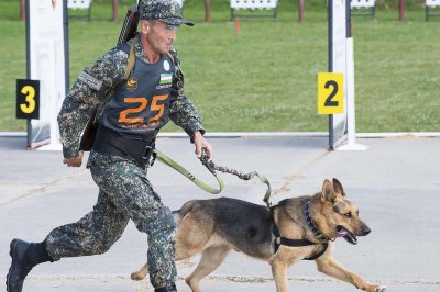 狼狗是什么品种 为何大多数部队军犬都用大狼狗