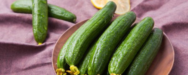 凉拌黄瓜盖上保鲜膜可以隔夜吃吗