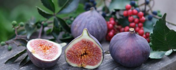 无花果怎么保存时间长