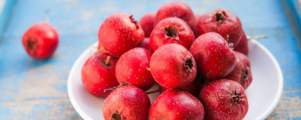 什么人不宜吃山楂