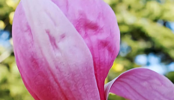 中国最好的政法大学有哪些