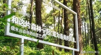 常州有什么好玩的地方