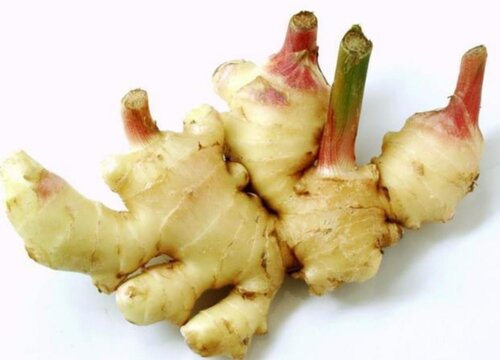 2023年生姜行情预测分析