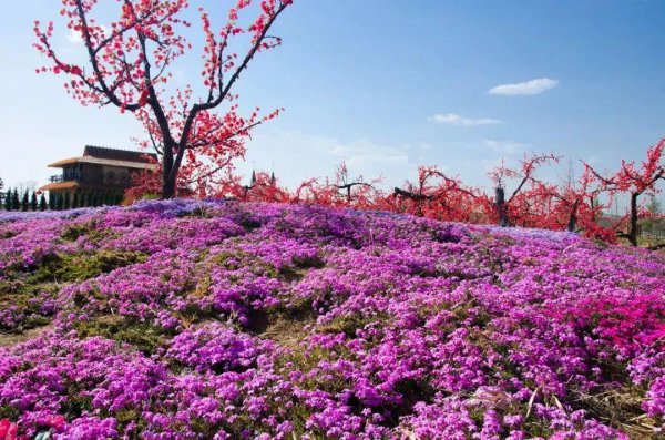 宁县是哪个省哪个市的