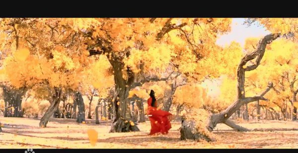 张艺谋电影有哪些