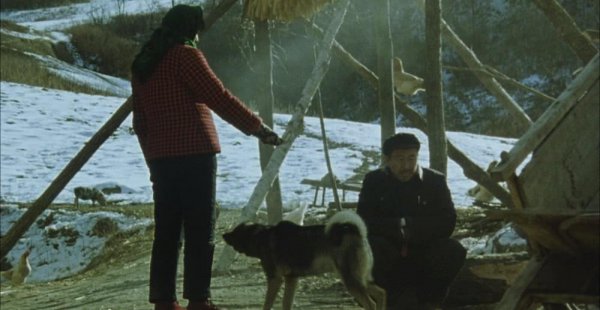 张艺谋电影有哪些