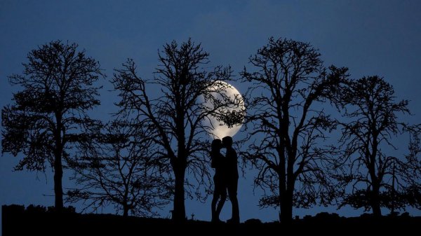 老公看不起老婆的表现