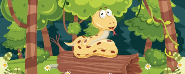 属蛇的佩戴什么生肖好