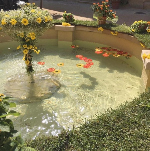 三观超正的婚姻观是什么