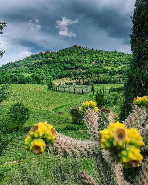 三观超正的婚姻观是什么