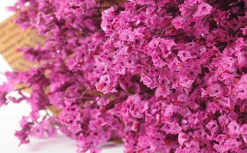 怎么做干花可以保持颜色