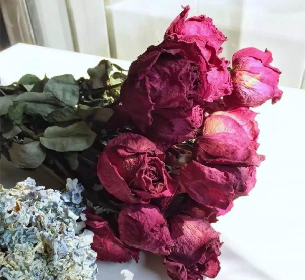 怎么做干花可以保持颜色