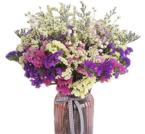 怎么做干花可以保持颜色