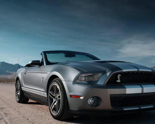 蛇车标是什么车