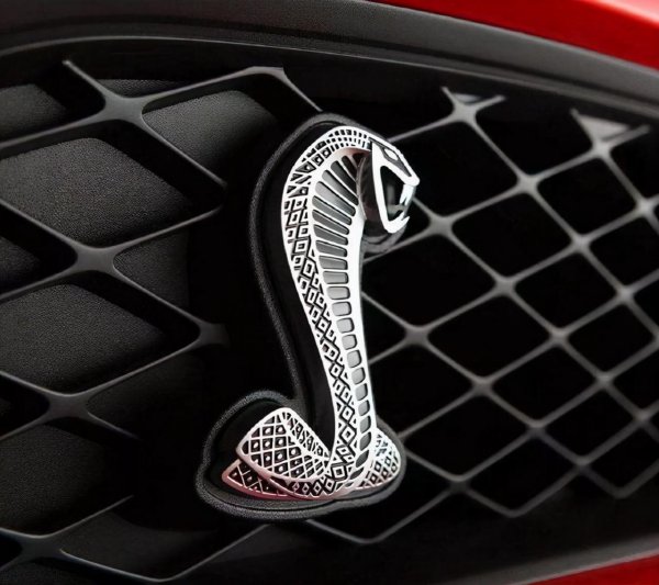 蛇车标是什么车