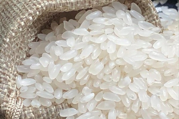 中国最好吃的大米排行榜