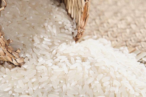 中国最好吃的大米排行榜