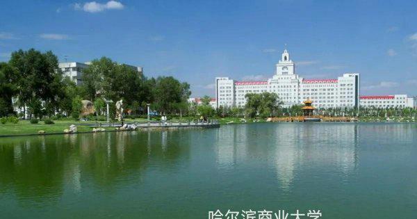 黑龙江有哪些大学和学院