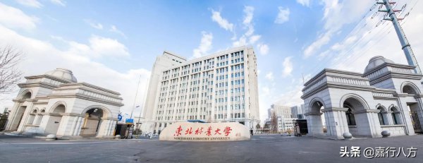 黑龙江有哪些大学和学院